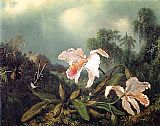 Jungle Orchids and Hummingbirds by Martin Johnson Heade